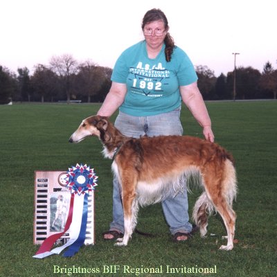 Borzoi Brightness at Regional
