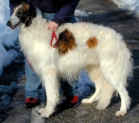 Eros left lateral view, full body
