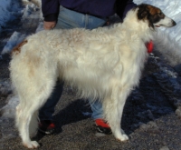 Eros right lateral view, full body