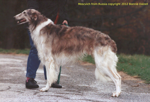 an image of 'Mr Moscow' standing